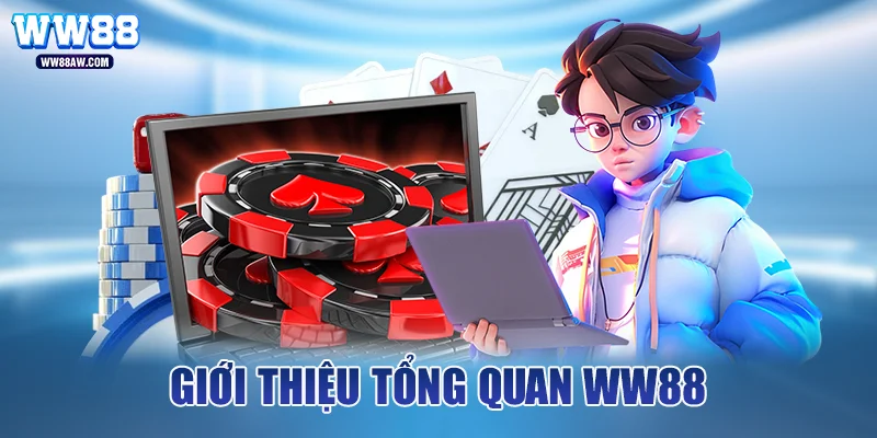 Giới thiệu tổng quan